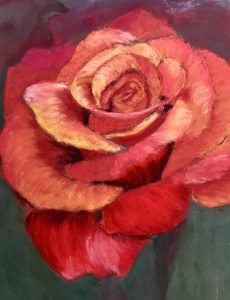 Just A Rose Soft pastels on pastelbord Limited Edition Print Art Just by Joan